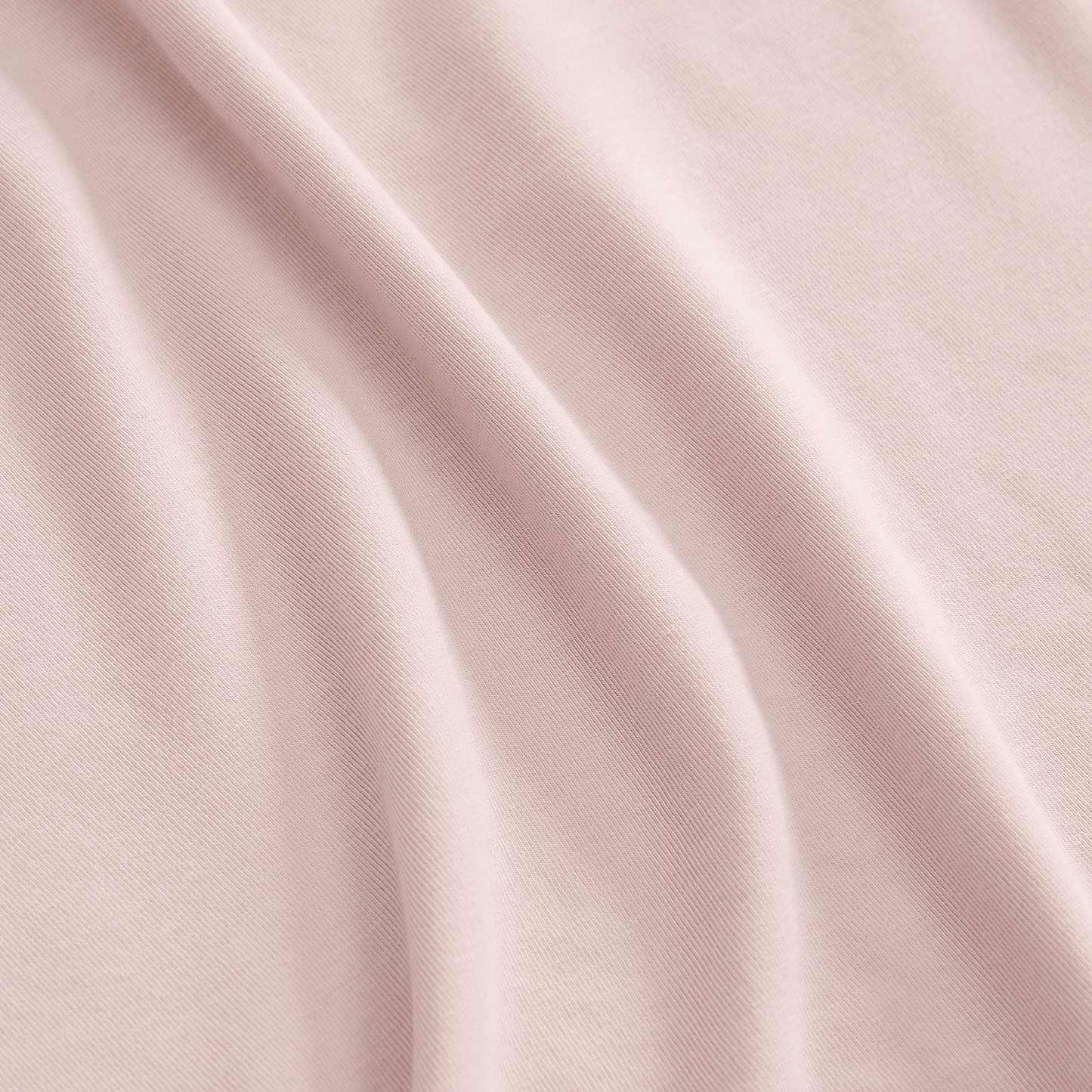 Dusty Rose Macro Detail Angle.
