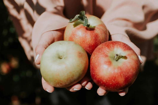 Seasonal Apple Crisp Smoothie Bowl