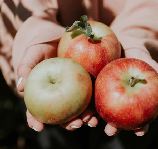 Seasonal Apple Crisp Smoothie Bowl
