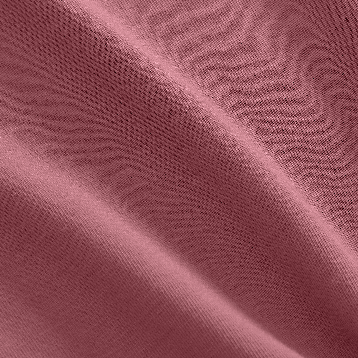 Shadow Rose Macro Detail Shot.