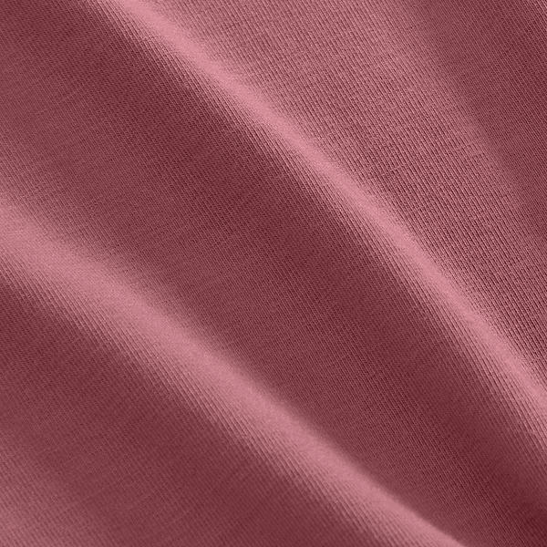 Shadow Rose Macro Detail Shot.
